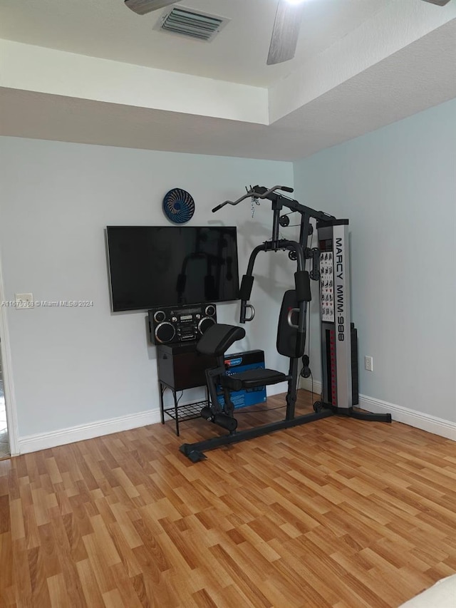 exercise room featuring ceiling fan and wood-type flooring