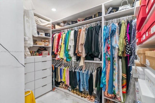 view of spacious closet