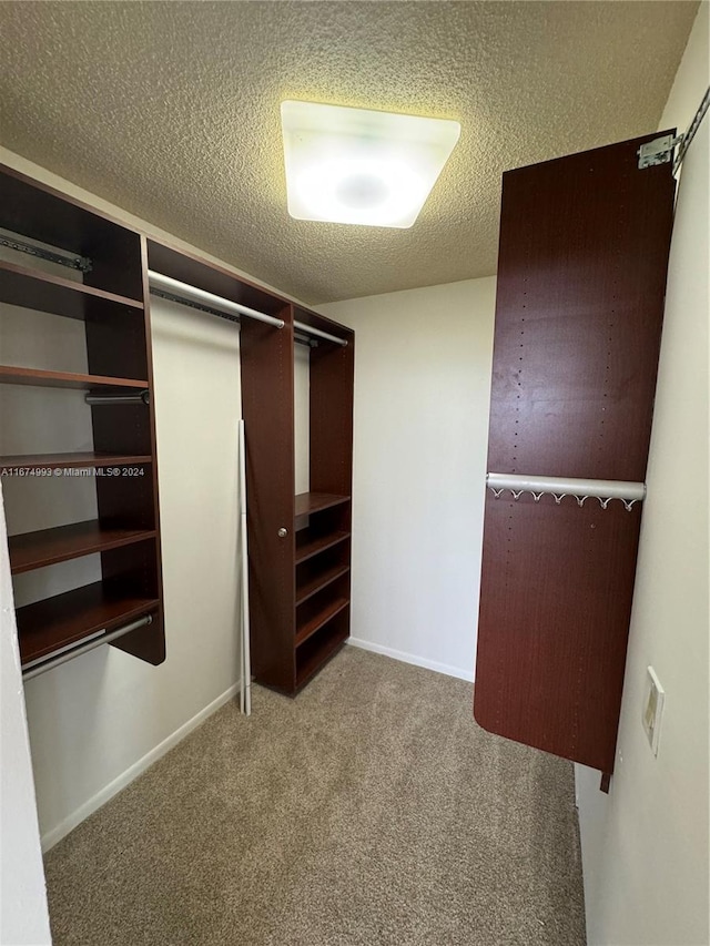 spacious closet with carpet flooring