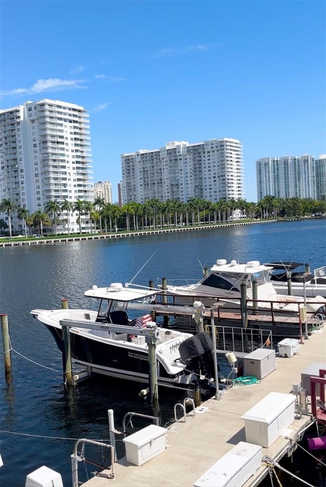 dock area with a water view