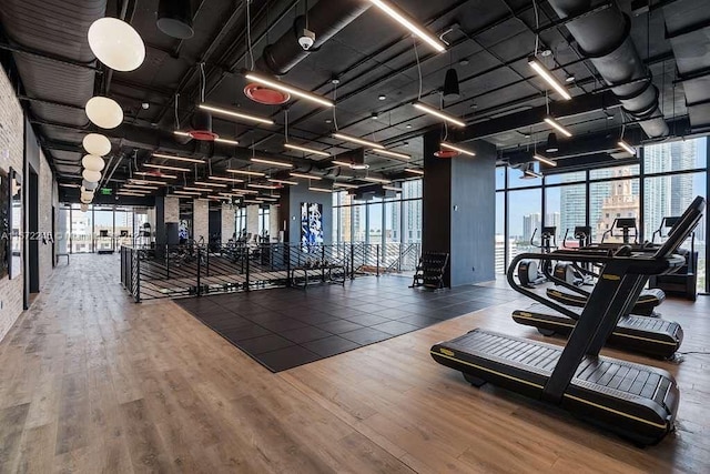 exercise room featuring wood-type flooring, plenty of natural light, and expansive windows