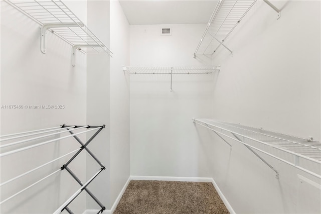 spacious closet featuring carpet floors and visible vents