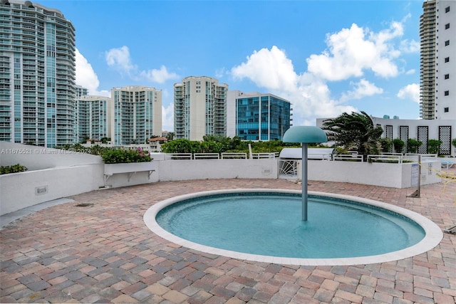 view of pool featuring a patio area