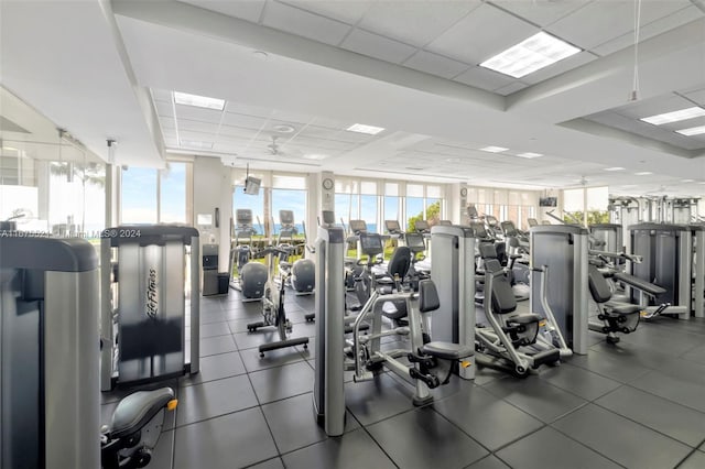 gym with a paneled ceiling, a wall of windows, a wealth of natural light, and ceiling fan