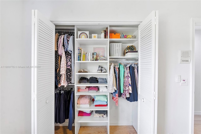 view of closet