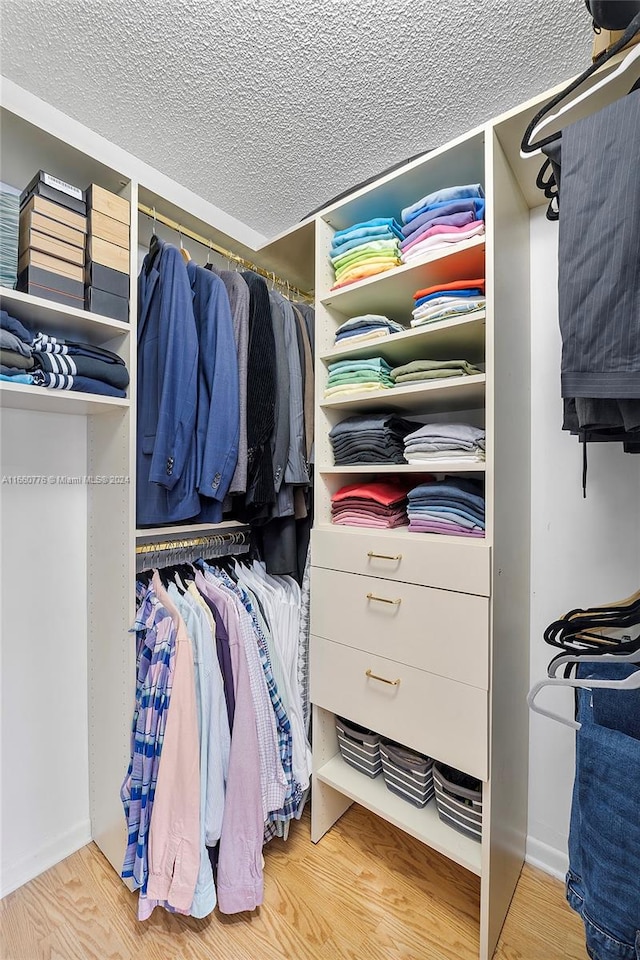 spacious closet with hardwood / wood-style floors