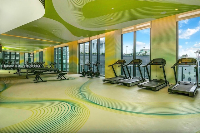 gym featuring a raised ceiling and a wall of windows