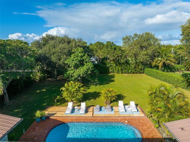 view of pool with a patio and a lawn