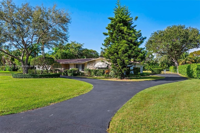11420 SW 80th Rd, Pinecrest, FL 33156 - view of front of house featuring aphalt driveway, a front lawn, and stucco siding