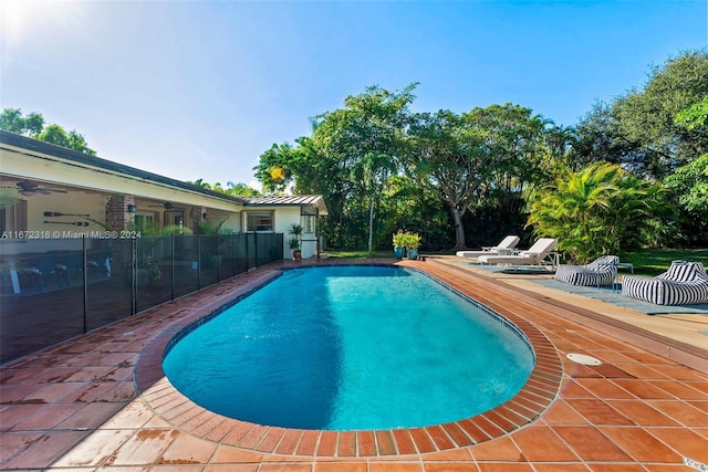11420 SW 80th Rd, Pinecrest, FL 33156 - view of swimming pool featuring fence, ceiling fan, a patio, and a fenced in pool