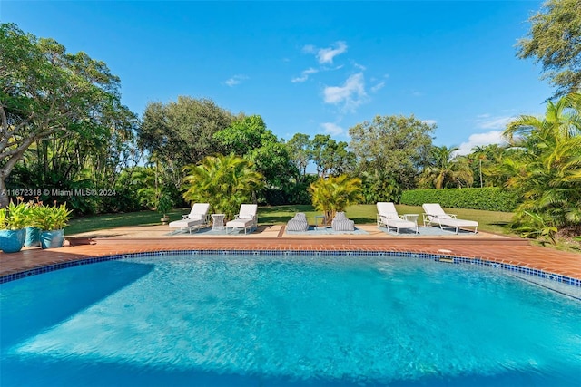 view of pool with a patio