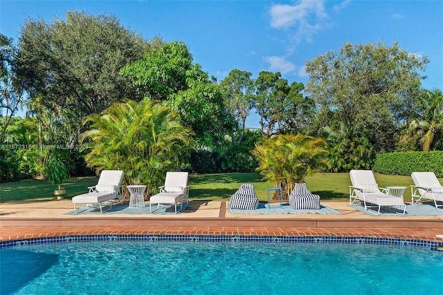 11420 SW 80th Rd, Pinecrest, FL 33156 - pool with a lawn and a patio area