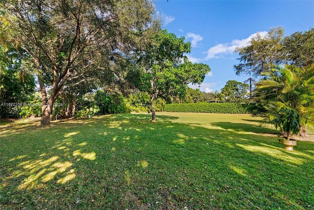 11420 SW 80th Rd, Pinecrest, FL 33156 - view of yard
