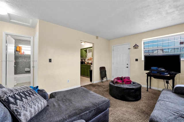 living room with light colored carpet and a textured ceiling