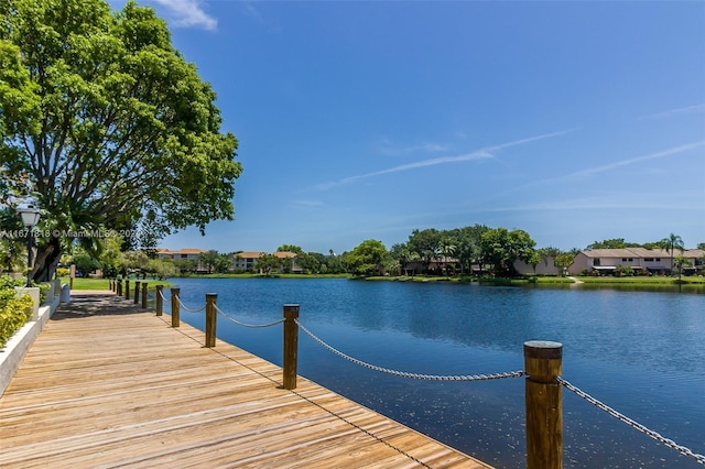 dock area with a water view