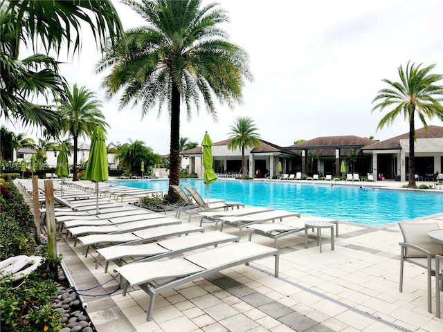 view of pool featuring a patio