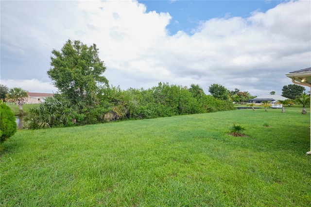 13592 Clara Ln, Port Charlotte, FL 33981 - view of green lawn
