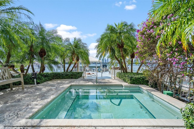 view of pool featuring a patio area