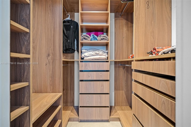 view of spacious closet