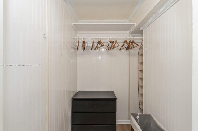 spacious closet with hardwood / wood-style flooring