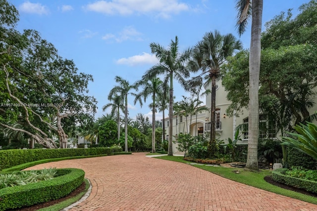 33 Arvida Pkwy, Coral Gables, FL 33156 - view of property's community featuring curved driveway