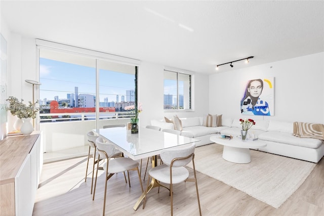 living room with expansive windows, rail lighting, a wealth of natural light, and light hardwood / wood-style flooring