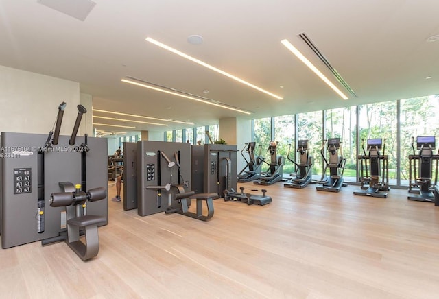 workout area with light wood-type flooring and expansive windows