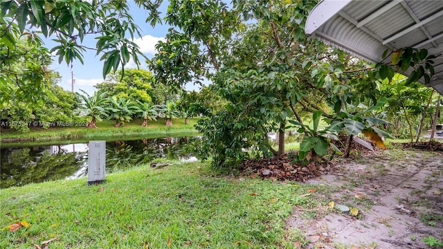 view of yard with a water view