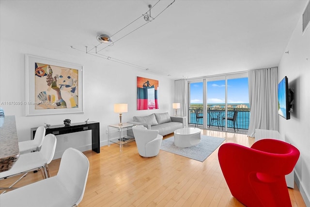 living room featuring expansive windows and light hardwood / wood-style floors