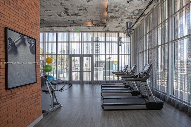 exercise room with a wall of windows, dark wood-type flooring, and plenty of natural light