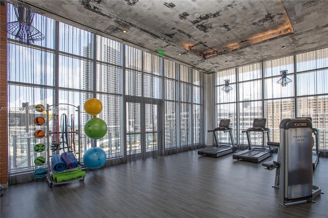 gym featuring floor to ceiling windows, plenty of natural light, and dark hardwood / wood-style flooring