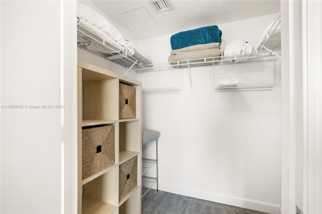 spacious closet featuring wood-type flooring