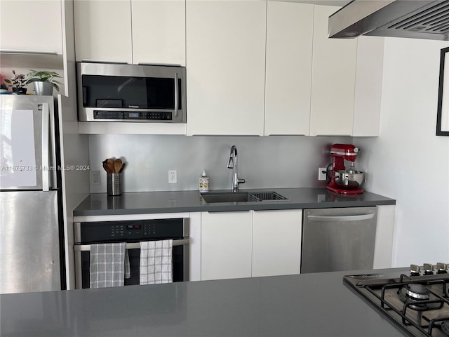 kitchen with white cabinets, sink, stainless steel appliances, and exhaust hood