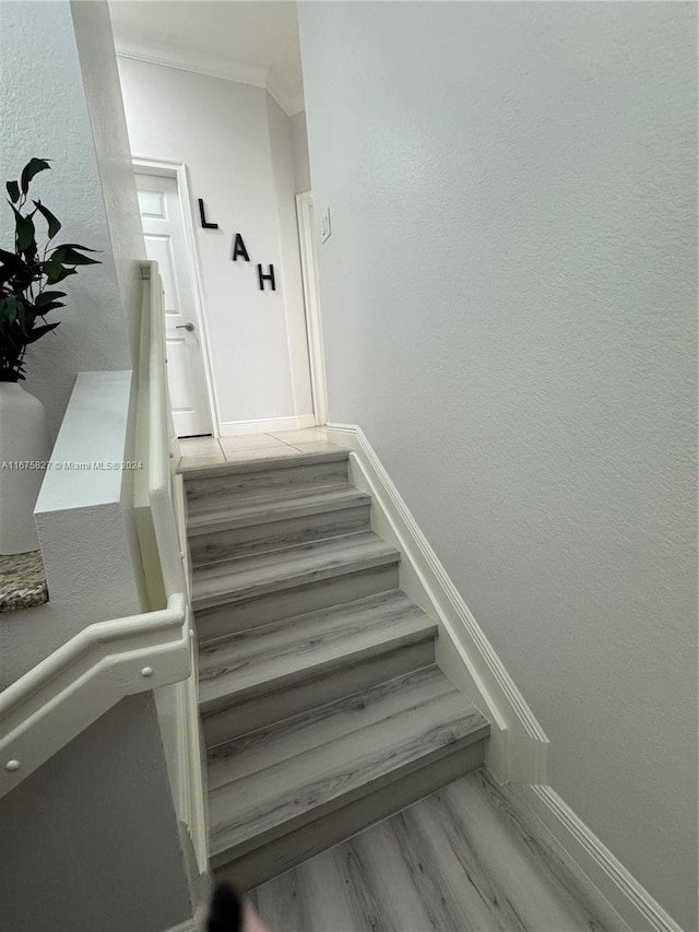 staircase with hardwood / wood-style flooring