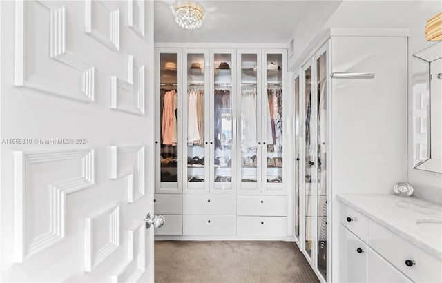 spacious closet with light carpet