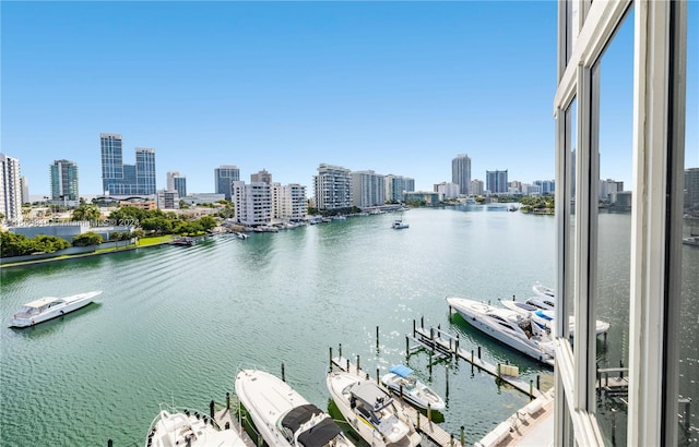 water view with a dock