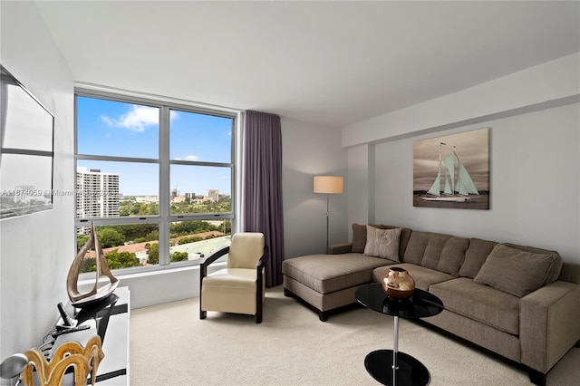 living room featuring carpet floors