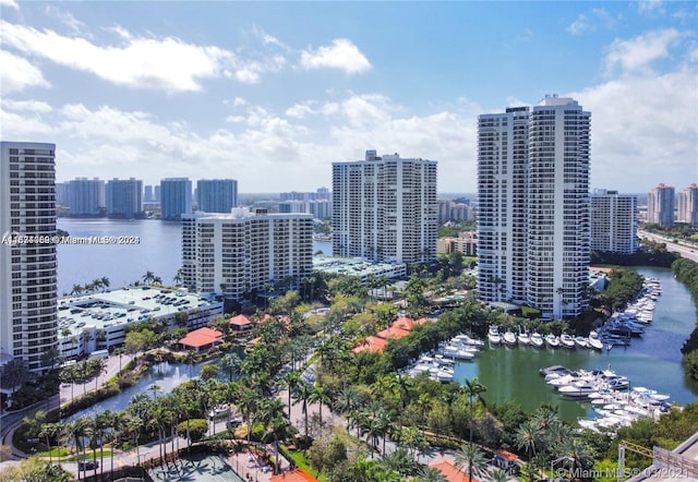 aerial view with a water view