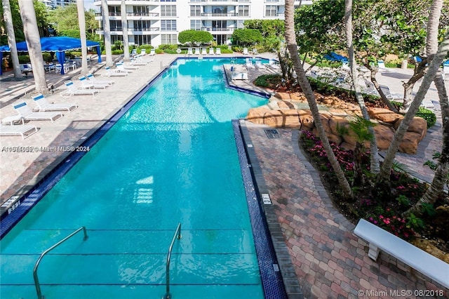 view of swimming pool featuring a patio