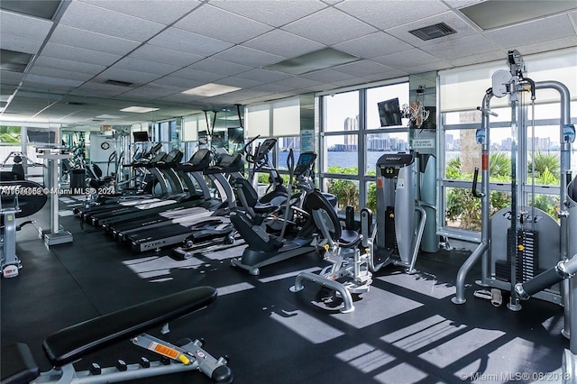 exercise room featuring floor to ceiling windows and a drop ceiling