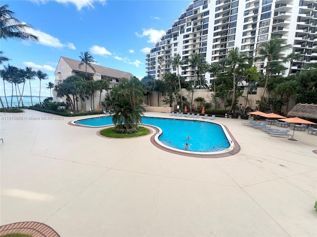 view of swimming pool featuring a patio