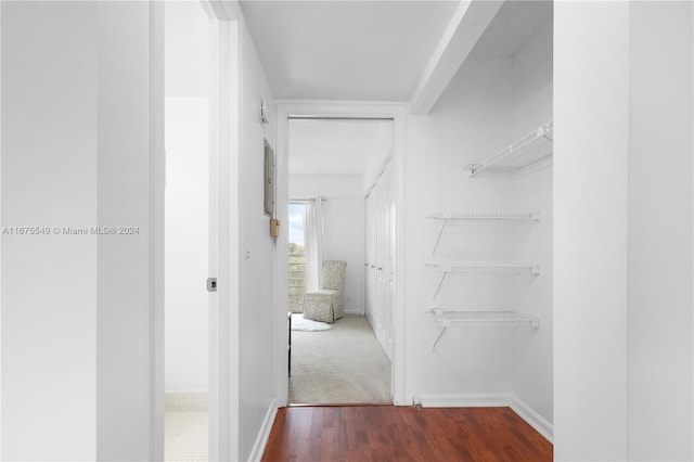 spacious closet with dark wood-type flooring