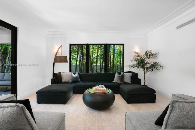 living room featuring crown molding