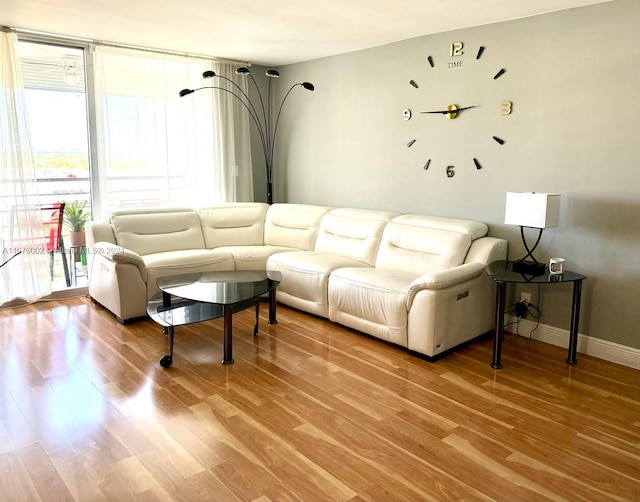 living room with hardwood / wood-style flooring