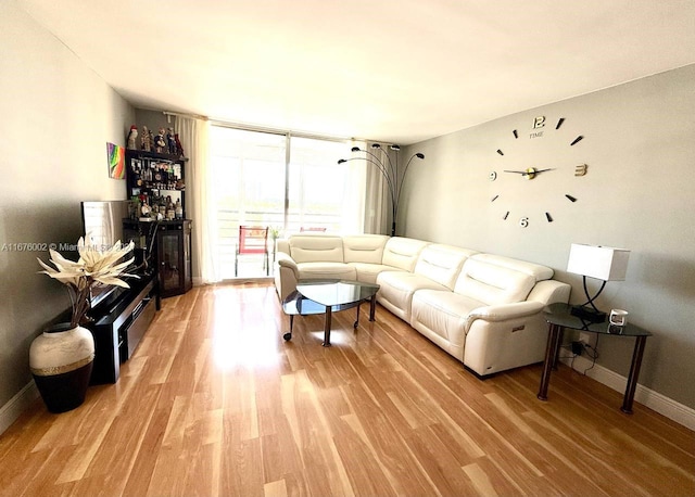 living room with hardwood / wood-style floors