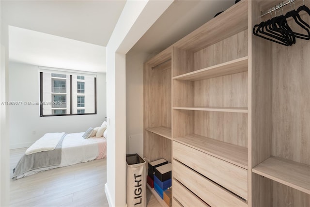 walk in closet with light hardwood / wood-style floors