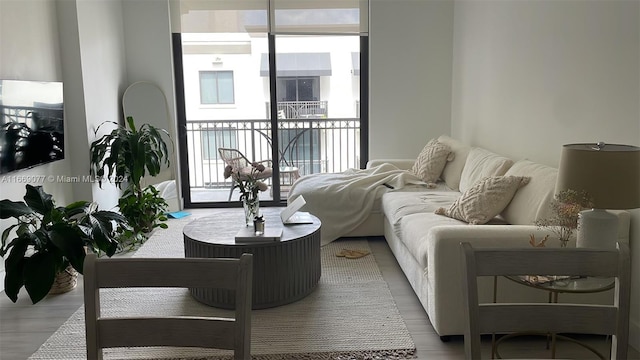 living room with hardwood / wood-style floors