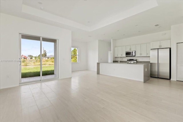 unfurnished living room featuring a tray ceiling and sink