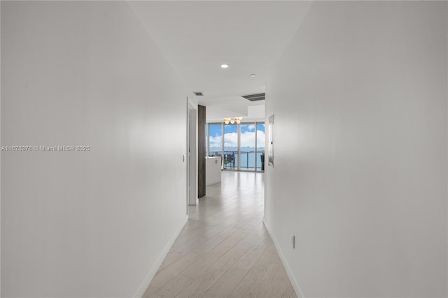 hall featuring light wood-type flooring, an inviting chandelier, and a wall of windows