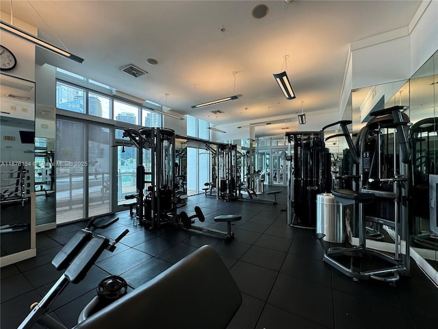 workout area featuring expansive windows and visible vents